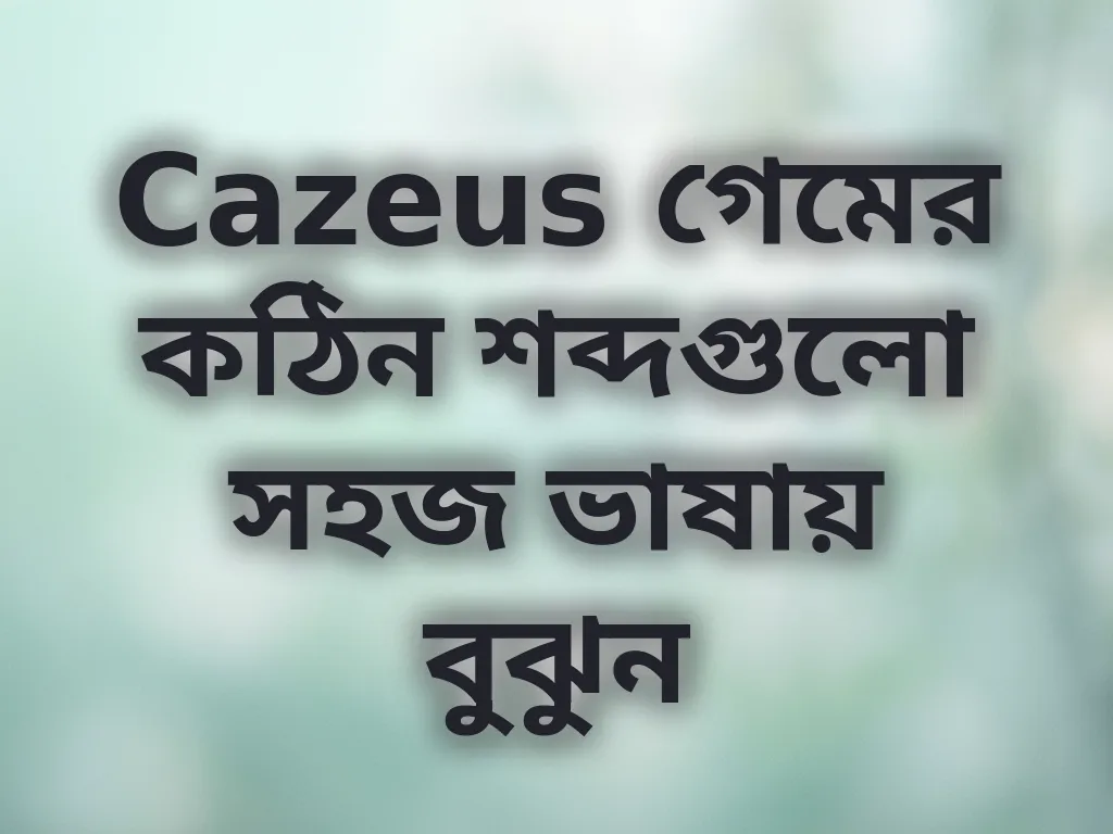 ক্যাসিনো টার্মিনোলজি